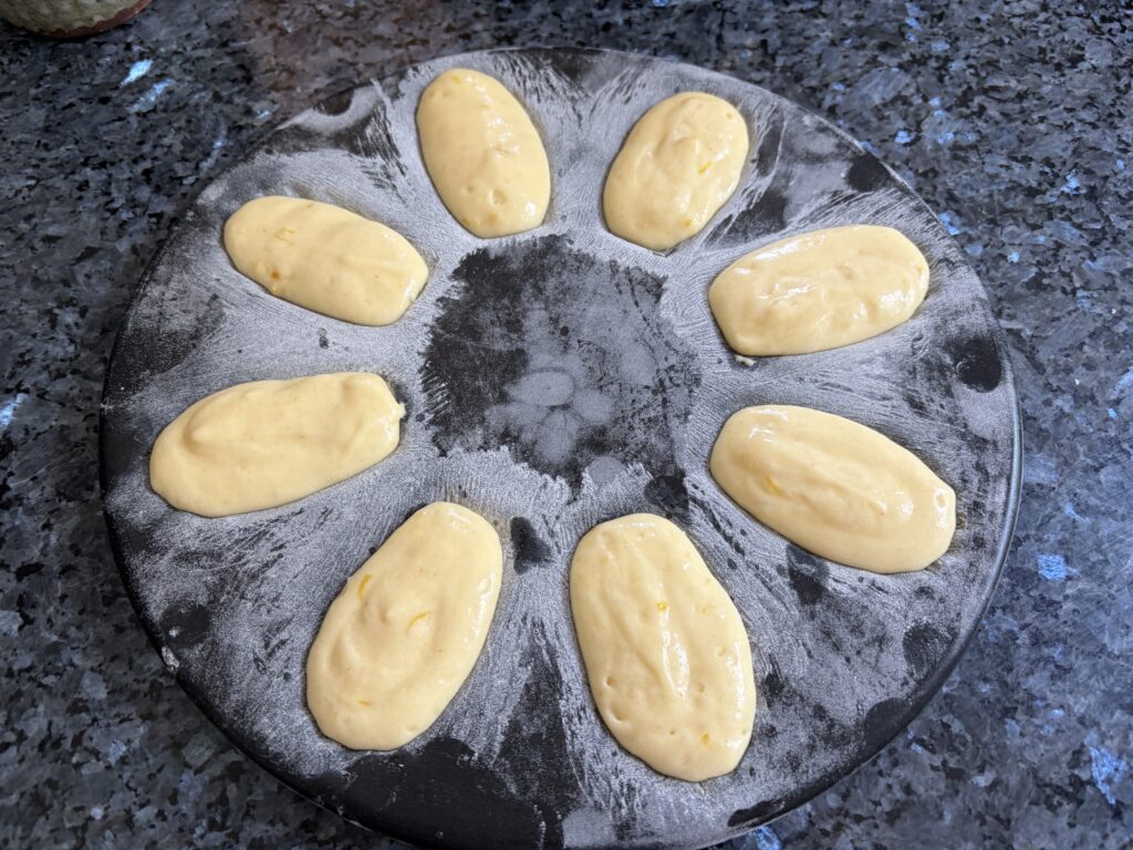 piped madeleine